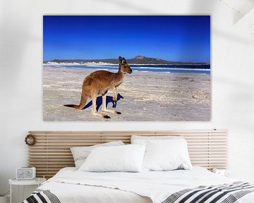 Kangoeroe op een wit strand in West-Australië van Coos Photography