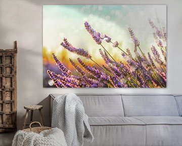 Sprankelende Lavendel van Manjik Pictures