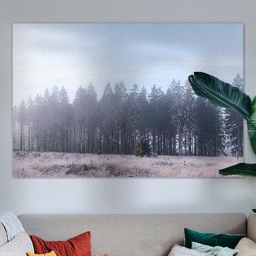 Landschaftsfoto Hohes Venn