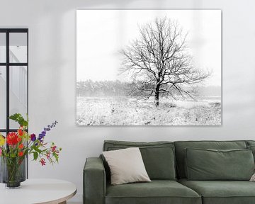 Een eenzame boom in een winters landschap. van Henk Van Nunen Fotografie