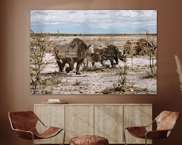 Rhino Rhino in Africa Namibia Etosha National Park by Helena Schröder