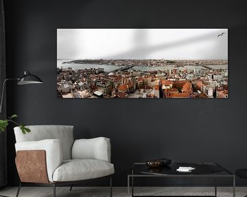 Panorama foto van Topkapi, het oude gedeelte van Istanbul. van Eyesmile Photography