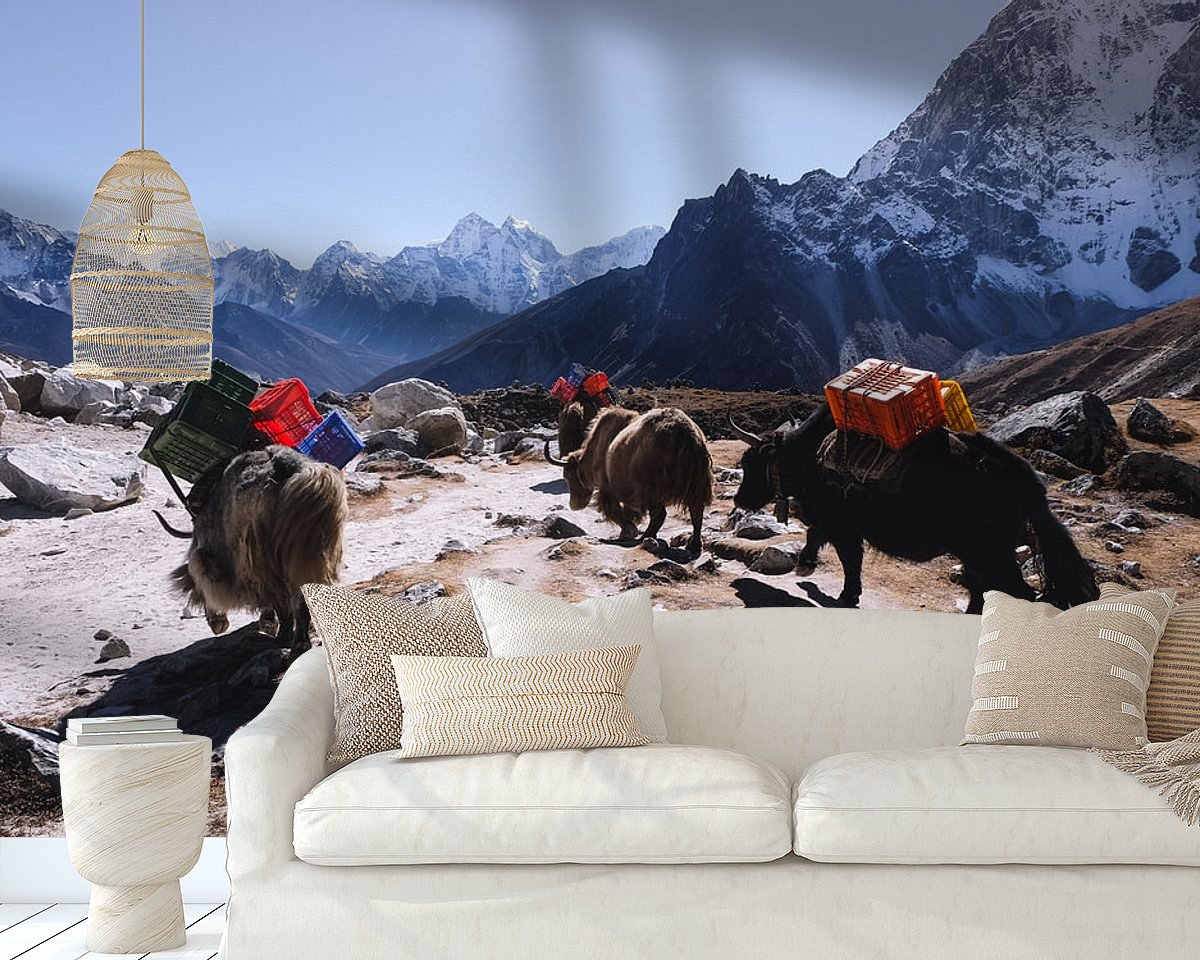 Raumvorschau