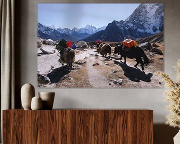 Passing yaks near Everest by Moniek Kuipers