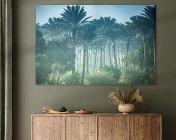 Palmbomen bos in Egypte van Jille Zuidema