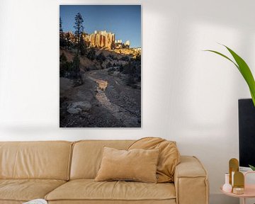 Bryce Canyon. von Remco van Adrichem