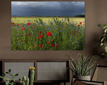 Sommerlandschaft des Polders in Holland mit Mohnblumen und Gewittersturm. von Eyesmile Photography