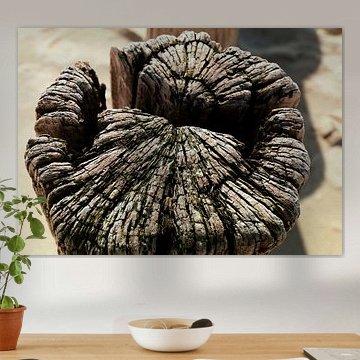 Weathered head of beach post