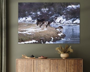 Herd of fallow deer next to the river in the snow by Anne Zwagers