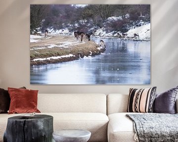 Herd of fallow deer next to the river in the snow by Anne Zwagers