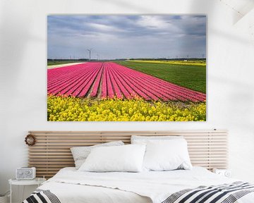 Tulpenveld in de Flevopolder, fotoprint van Manja Herrebrugh - Outdoor by Manja