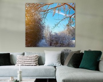 Paysage d'hiver sur Bo Valentino