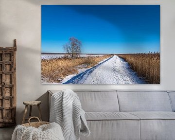 Bodden bij Ahrenshoop op de Fischland-Darß in de winter