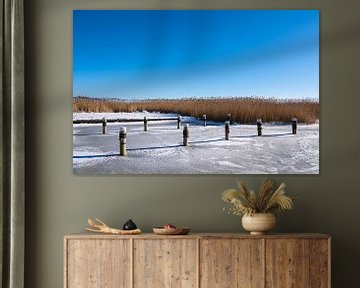 Bodden bei Ahrenshoop auf dem Fischland-Darß im Winter von Rico Ködder