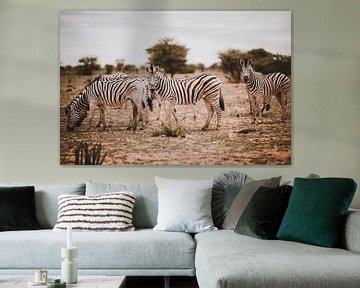 Zebra in Afrika in freier Natur, Namibia Etosha Nationalpark von Helena Schröder