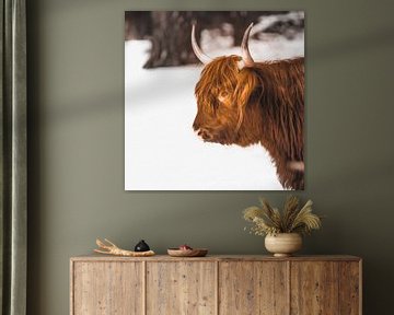 Schotse hooglander in de sneeuw van Van Renselaar Fotografie