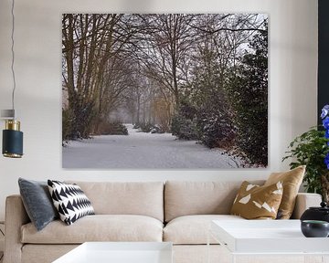 Snow Way