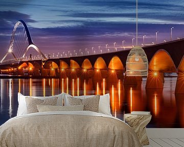 Bridge 'De Oversteek', Nijmegen, Netherlands by Adelheid Smitt