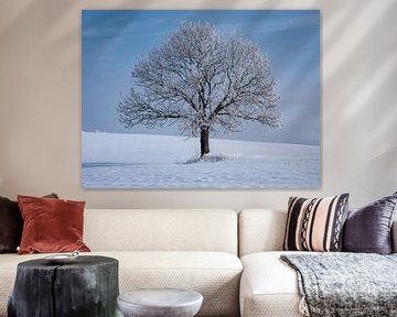 eenzame boom in een winterlandschap van Animaflora PicsStock