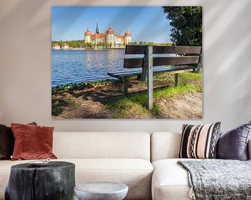 Blick auf das Schloss Moritzburg bei Dresden von Animaflora PicsStock