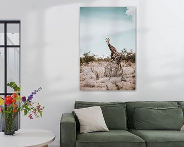 Giraffe in Afrika in het wild, Namibië Etosha Nationaal Park van Helena Schröder