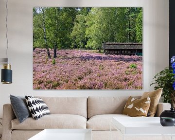 Lüneburger Heide mit Bienenstand von Katrin May