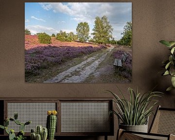 Wandelpad op de Lüneburger Heide van Katrin May