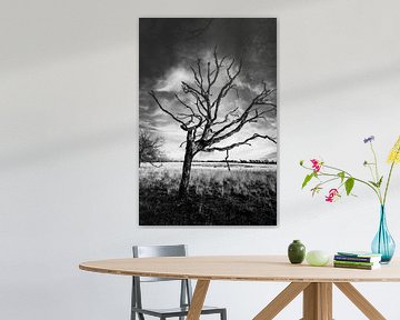 arbre