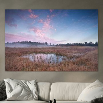 Creamy morning by Olha Rohulya