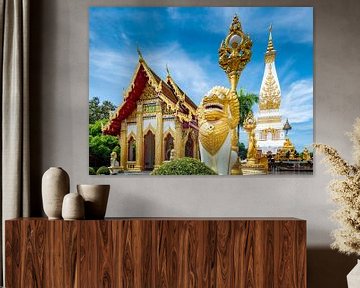 Wat Phra That Phanom dans la ville That Phanom en Thaïlande sur Theo Molenaar