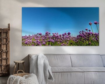 Bloemenveld met paarse bloemen. van Sky Pictures Fotografie