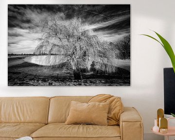 Winter landscape with tree and snow and cloud formation in black and white by Dieter Walther