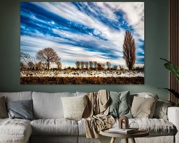 Winterlandschap met boom en sneeuw en wolkenpartij aan de Rijn bij Düsseldorf van Dieter Walther