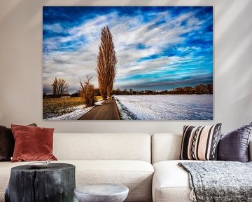 Winter Landschaft mit Baum und Schnee vor Wolkenformation von Dieter Walther