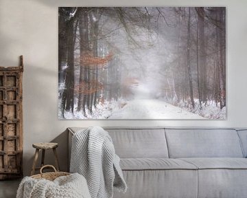 Neige dans la forêt par un matin brumeux sur Francis Dost