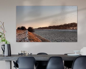 Vogels vliegen over het beesneeuwde kanaal door Walcheren van Percy's fotografie