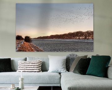 Birds fly over the winter channel through Walcheren by Percy's fotografie