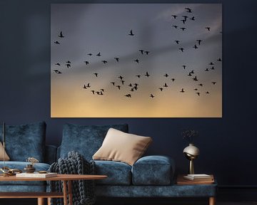 Vogels vliegen tijdens de zonsopkomst van Percy's fotografie