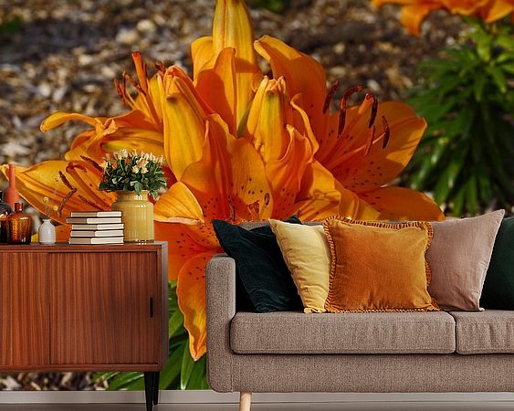 Raumvorschau