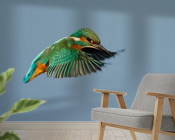 Kingfisher in flight by René Vos