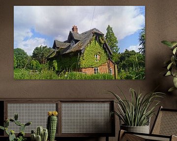 Ivy-covered house on the path in Suffolk by Babetts Bildergalerie