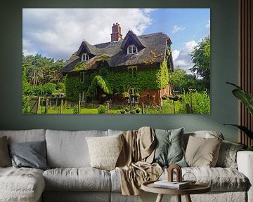 Une maison couverte de lierre sur le chemin dans le Suffolk sur Babetts Bildergalerie