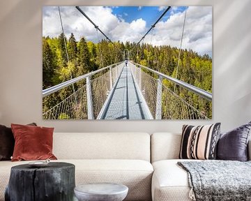 Beautiful WildLine bridge through the Black Forest in Germany by Evelien Oerlemans