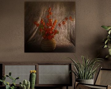 still life with lantern plant by Herman Peters