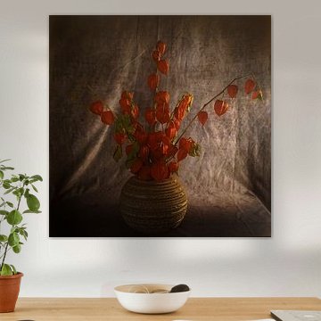 Stillleben mit Lampionblume