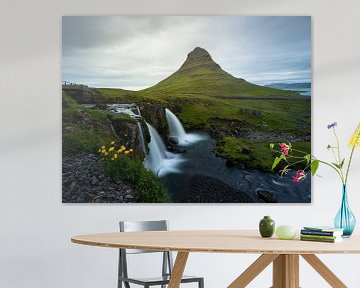 Paysage avec des fleurs jaunes, des chutes d'eau et la montagne Kirkjufell sur la péninsule de Snæfe sur Teun Janssen