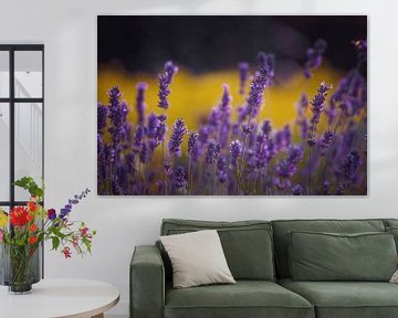 Lavendel Freude von Hiske Boon