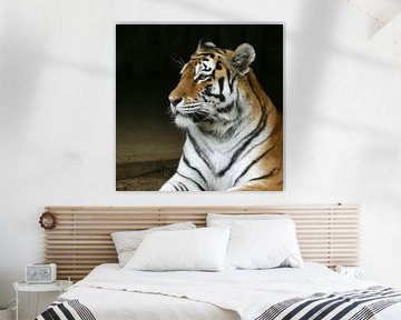 Tiger by Mario de Lijser