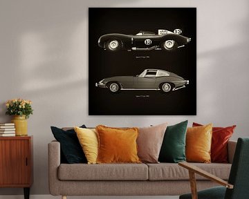 Jaguar D Type 1956 en Jaguar E Type 1960 van Jan Keteleer