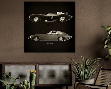 Jaguar D Type 1956 et Jaguar E Type 1960